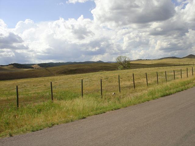 Black Hills088.jpg